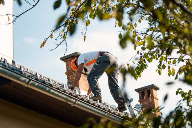 Best Rubber Roofing (EPDM, TPO)  in Lake City, GA
